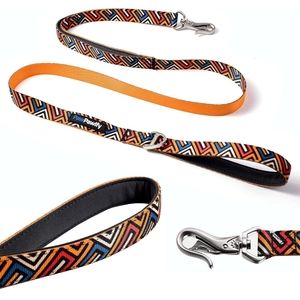 Heavy Duty Long Nylon Graffiti Patterned Dog Leash 4 ft
